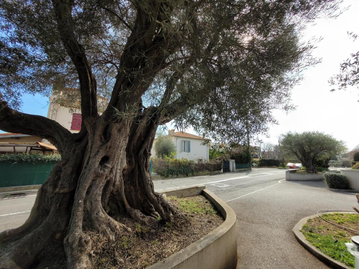 Villa La Desiree - Haut De Villa, 68M2, 8 Personnes Max, Climatise, 4 Etoiles, 120M2 De Jardin Et Parking, Wifi, Vu Mer Antibes Exteriér fotografie
